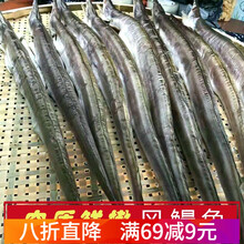鳗鱼筒价格报价行情 京东