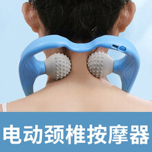 家师父一体 京东