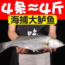 冷冻花鲈鱼价格报价行情 京东
