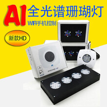 Yainiq44oetsum Yainiq44oetsum
