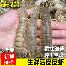 皮皮虾海鲜新款 皮皮虾海鲜21年新款 京东