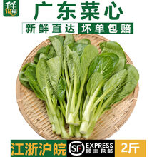 白菜花价格报价行情 京东