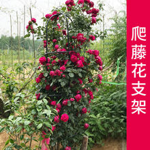 爬藤支柱型号规格 京东