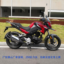 Cb250摩托车价格报价行情 京东