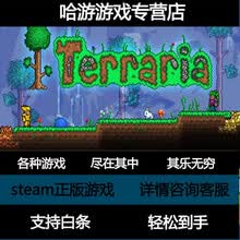 泰拉瑞亚荣耀预订订购价格 京东