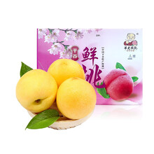 黄金桃图片 京东 黄金桃图片 京东