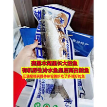 淡水鱼生鱼片型号规格- 京东