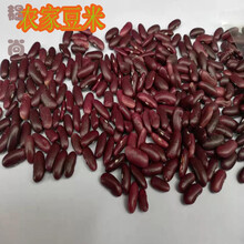 大豆产品价格报价行情 京东