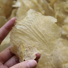 白花鱼胶价格报价行情 京东