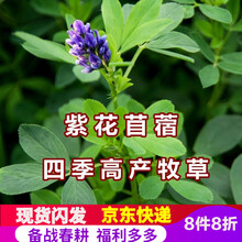 国产苜蓿草价格报价行情 京东 国产苜蓿草价格报价行情 京东