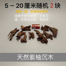 天然流木新款 天然流木21年新款 京东 天然流木新款 天然流木21年新款 京东