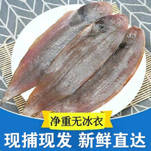 牛舌鱼价格报价行情- 京东