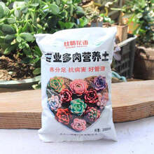 多肉植物营养土土价格报价行情 京东