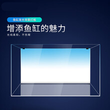 水族馆水草价格报价行情 京东