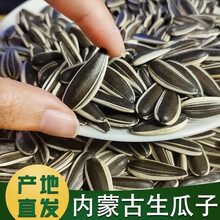 葵花籽向日葵品牌及商品 京东