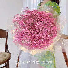 满天星小花束新款 满天星小花束21年新款 京东