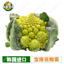 花椰菜种子图片 京东