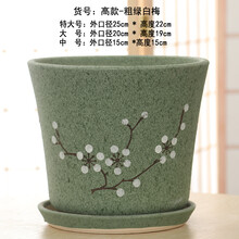 室内大花盆植物新款 室内大花盆植物21年新款 京东 室内大花盆植物新款 室内大花盆植物21年新款 京东