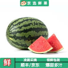 战神纪西瓜型号规格 京东 战神纪西瓜型号规格 京东