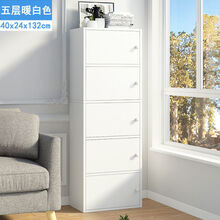 带门收纳柜新款 带门收纳柜21年新款 京东