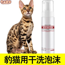 孟加拉豹猫价格报价行情 京东