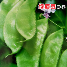 北菜园架豆价格报价行情 京东