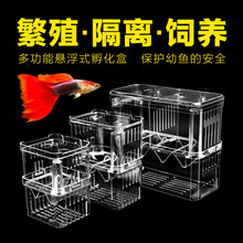 小鱼孵化新款 小鱼孵化21年新款 京东