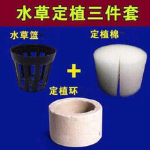 固定水草价格报价行情 京东