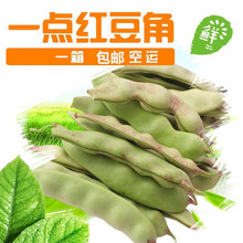 紫花豆角价格报价行情 京东