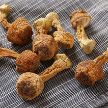 姬松茸蘑菇价格报价行情- 京东