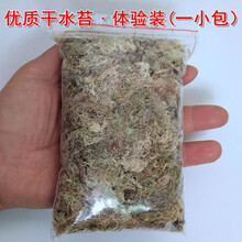 猪笼草水苔价格报价行情 京东 猪笼草水苔价格报价行情 京东