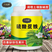 绿叶花肥新款 绿叶花肥21年新款 京东