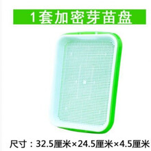 豆苗菜新款 豆苗菜21年新款 京东