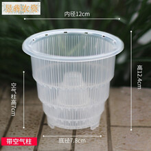 透明兰花盆新款 透明兰花盆21年新款 京东