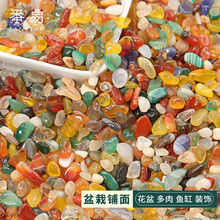园艺小石子新款 园艺小石子2021年新款 京东