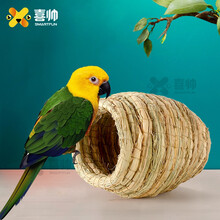 鹦鹉孵化品牌及商品 京东 鹦鹉孵化品牌及商品 京东