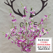 蝴蝶兰花束新款 蝴蝶兰花束21年新款 京东 蝴蝶兰花束新款 蝴蝶兰花束21年新款 京东