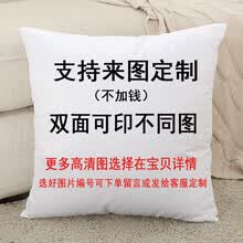 抱枕雷丝新款 抱枕雷丝21年新款 京东