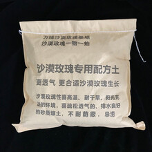 多肉植物配土价格报价行情 京东