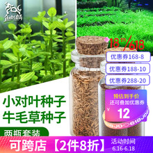 水草前景草排行 京东 水草前景草排行 京东