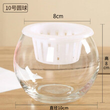 花玻璃新款 花玻璃21年新款 京东