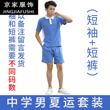 礼服短裤价格报价行情 京东