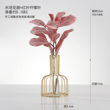 红叶玻璃价格及图片表 京东