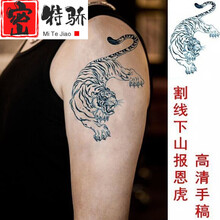 披肩纹身贴排行 - 京东