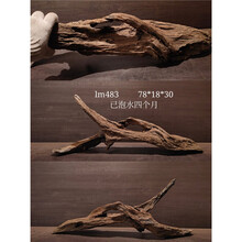 天然流木新款 天然流木21年新款 京东