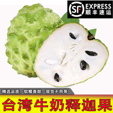 现货芭乐价格多少钱一斤 现货芭乐价格图片 京东生鲜