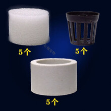 固定水草新款 固定水草21年新款 京东