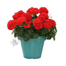 Qcewji7cwhbjgm Qcewji7cwhbjgm