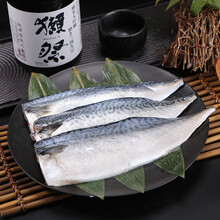 醋青鱼寿司新款 醋青鱼寿司21年新款 京东