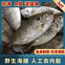 泥猛鱼泥价格多少钱一斤-泥猛鱼泥价格图片- 京东生鲜